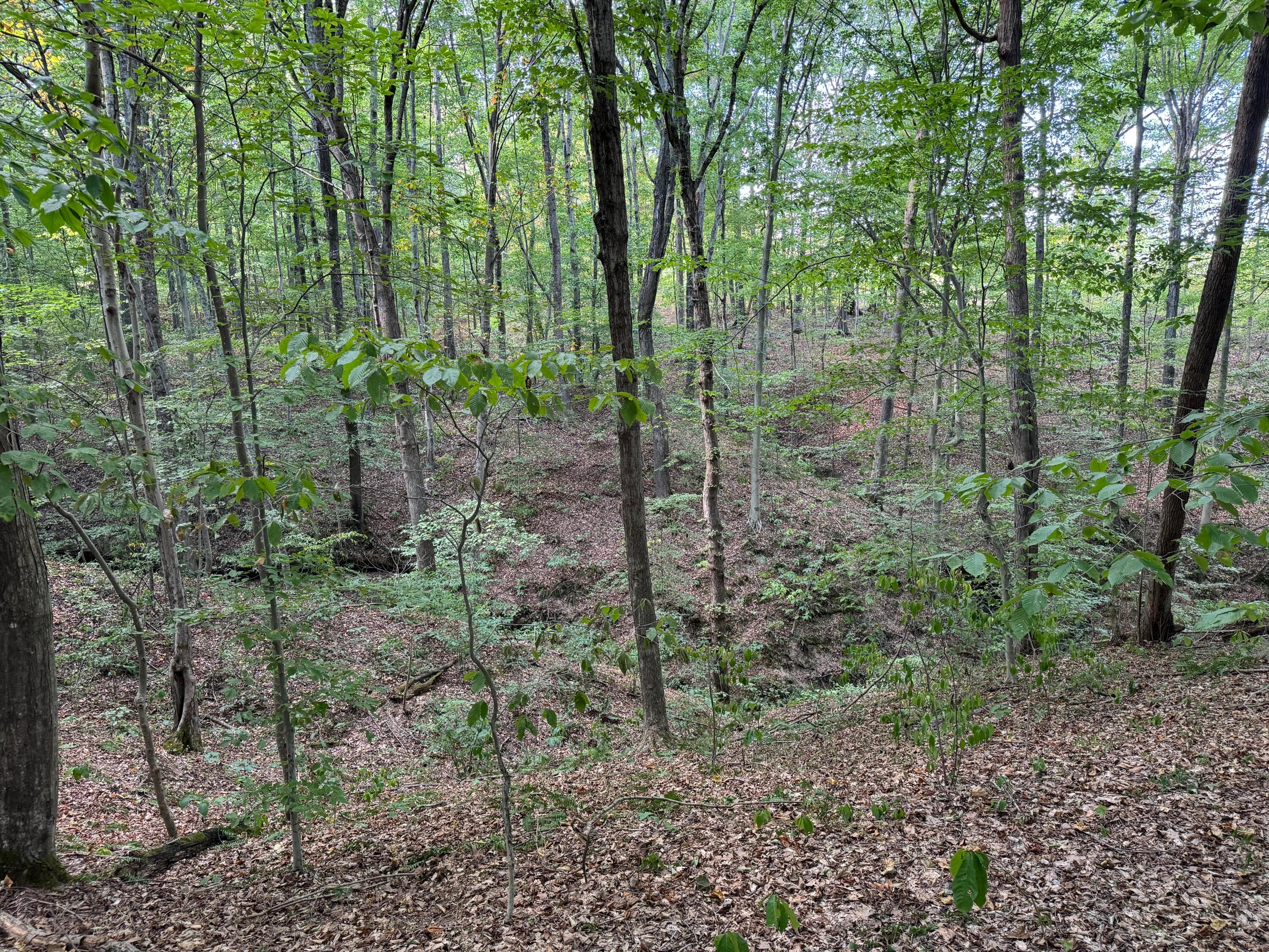 41455 State Route 684, (tract 11 Albany Woods) Property Photo 44