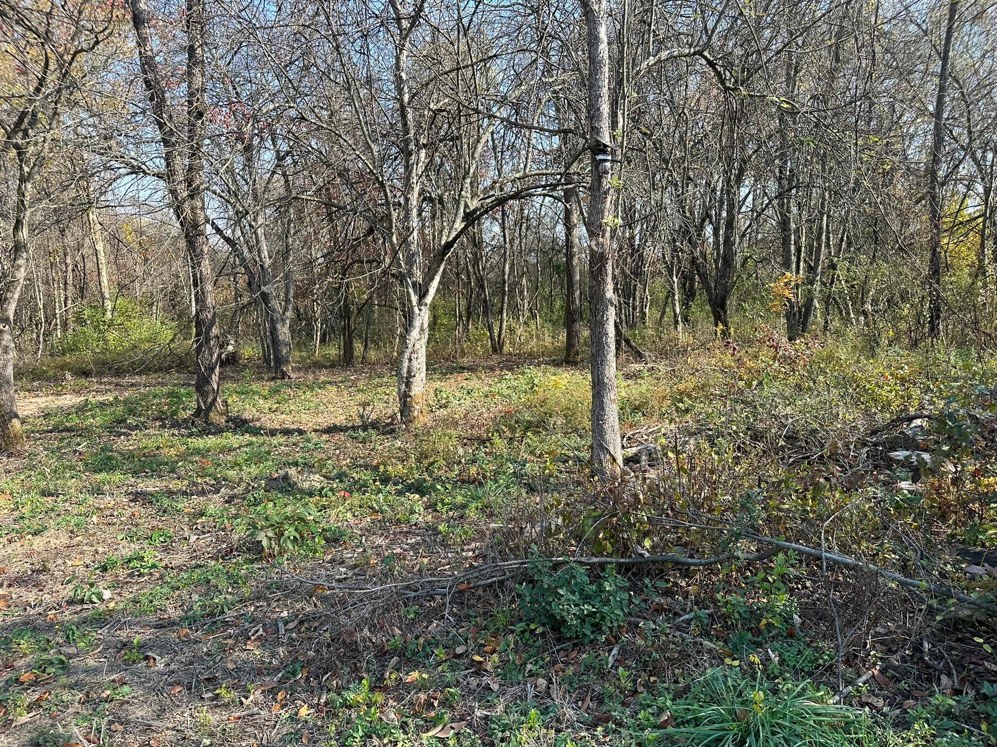 Lot 5 Mockingbird Lane Property Photo 5