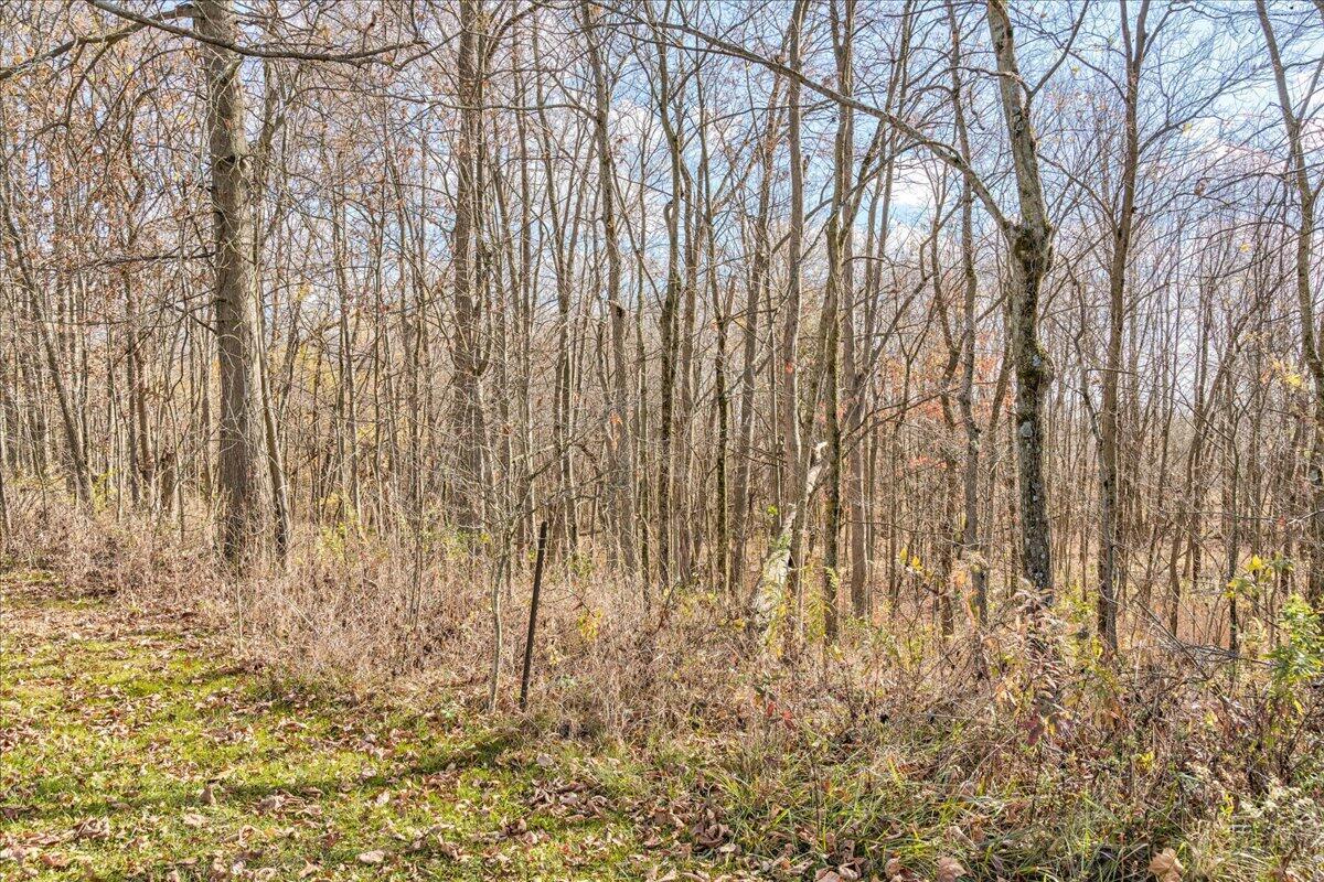 17343 State Route 739 Property Photo 28