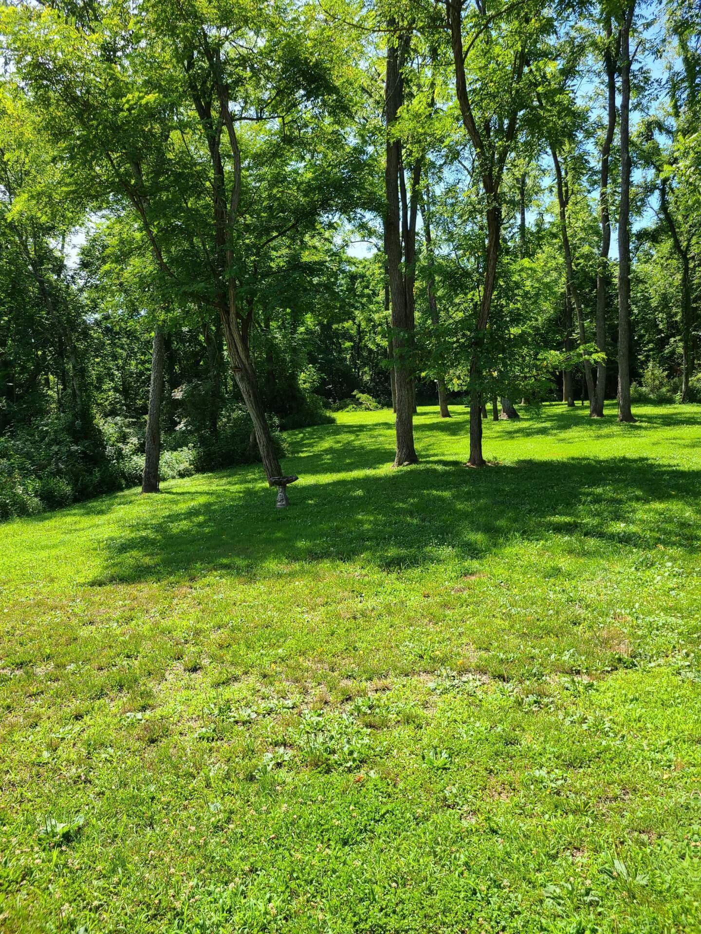 37019 Maysville Greendale Road Property Photo 3