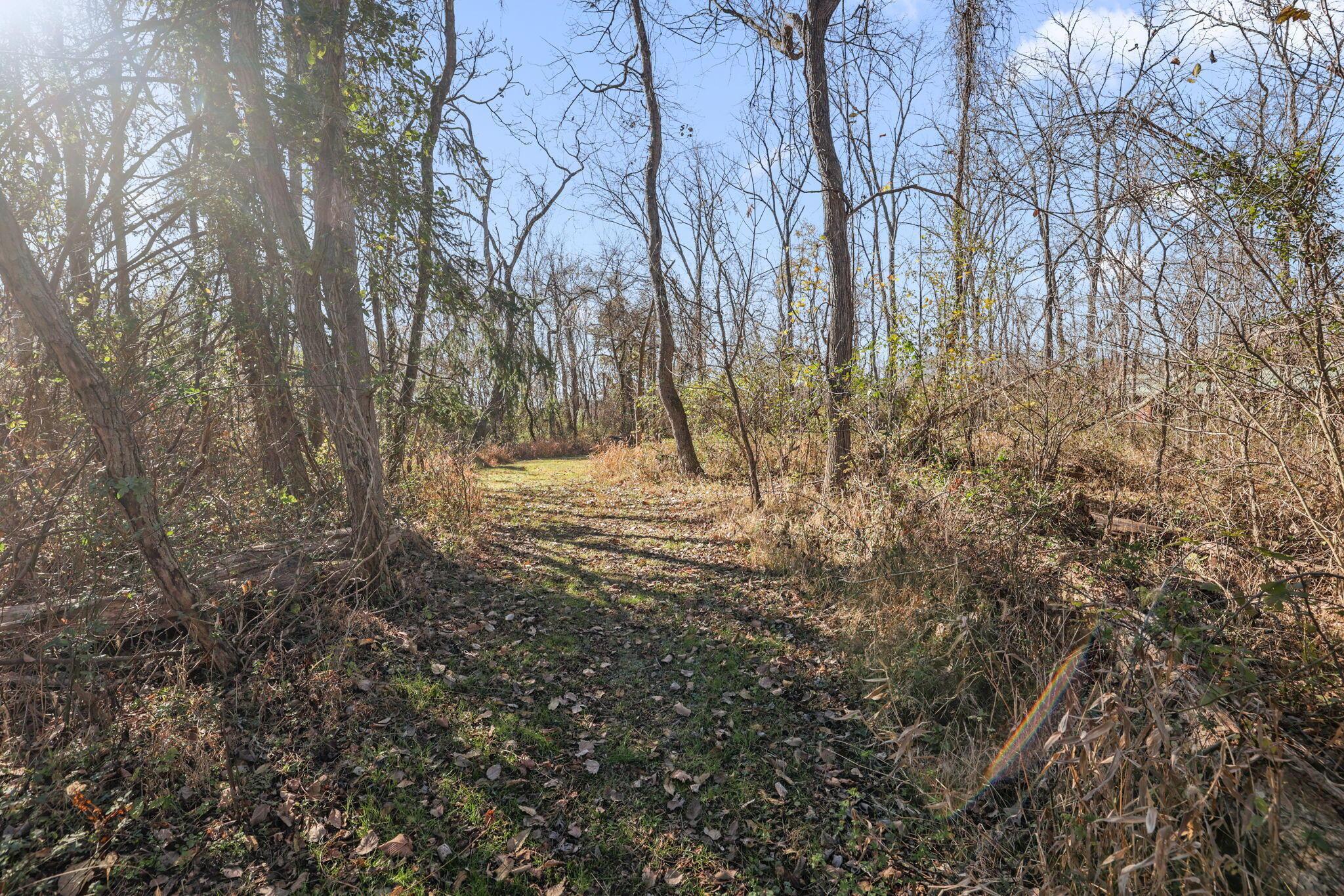 37019 Maysville Greendale Road Property Photo 27