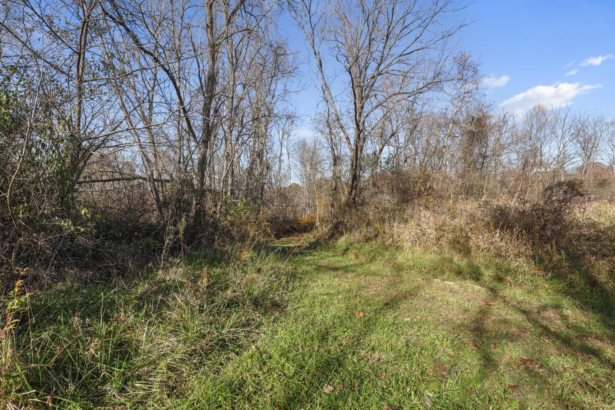37019 Maysville Greendale Road Property Photo 31