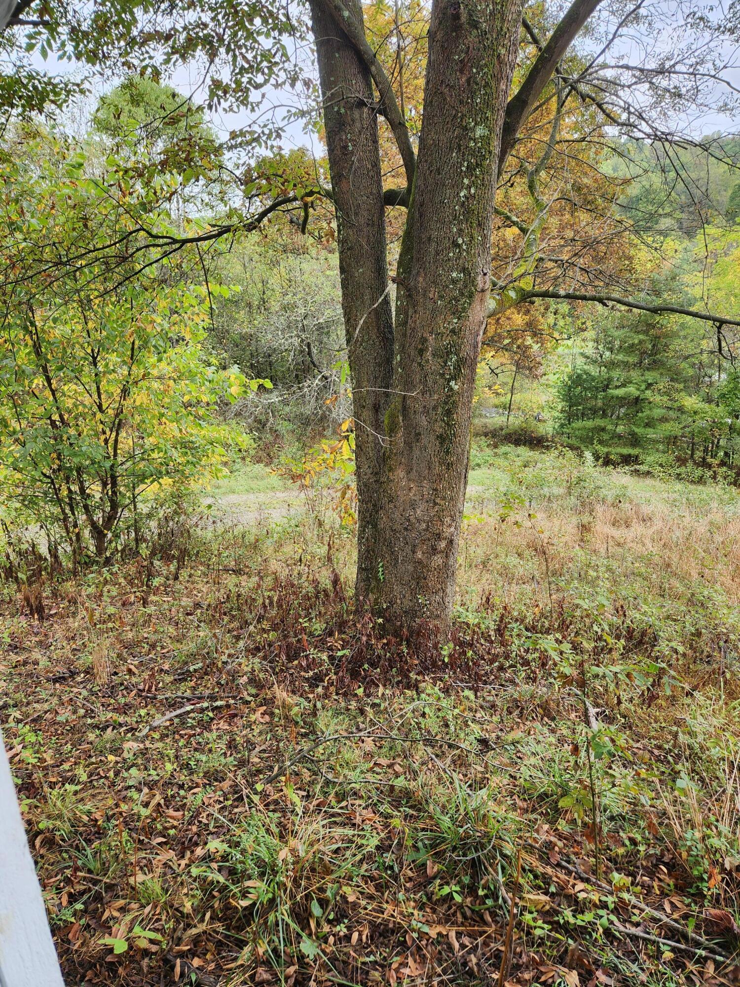 30153 State Route 78 Tr 240 Property Photo 9