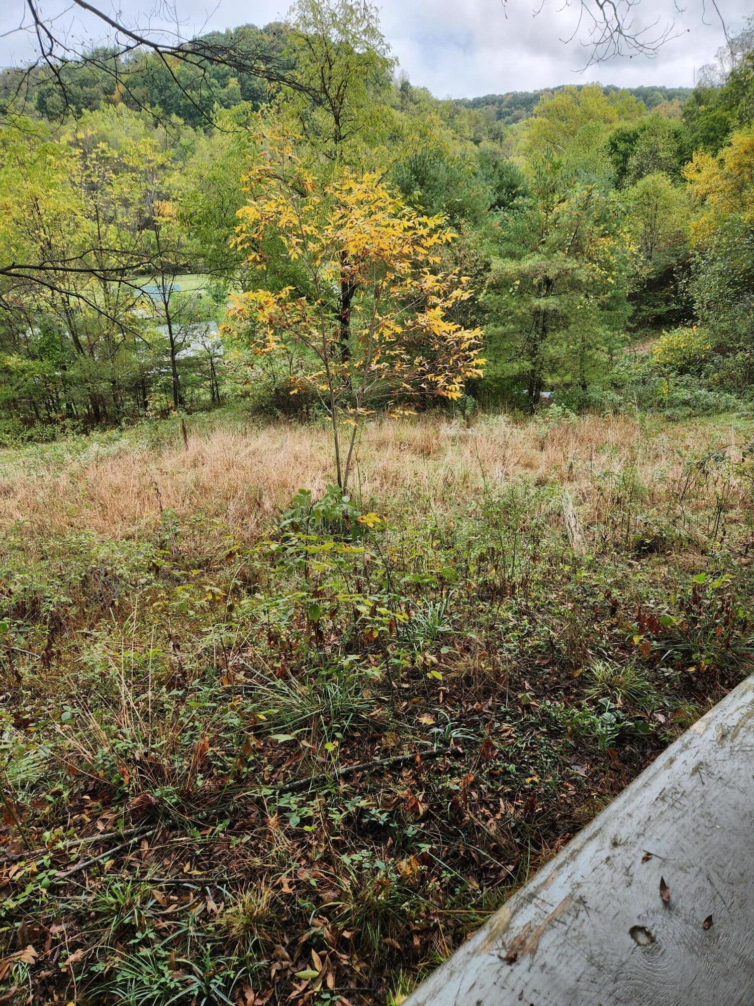 30153 State Route 78 Tr 240 Property Photo 11