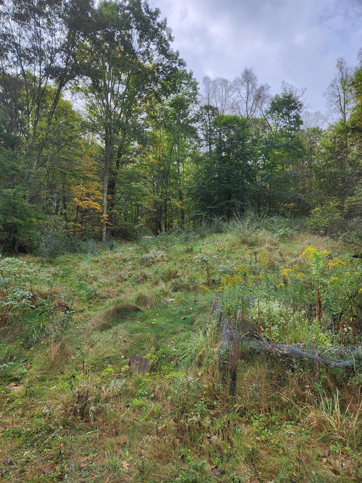 30153 State Route 78 Tr 240 Property Photo 12