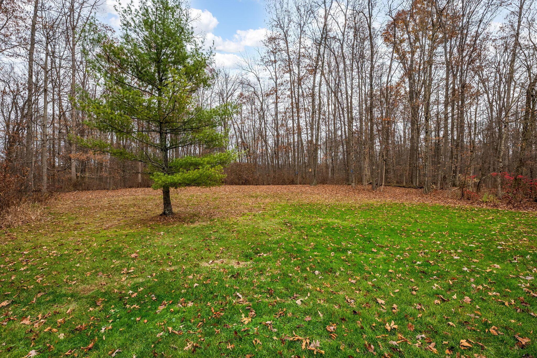 6003 Nichols Lane Property Photo 131