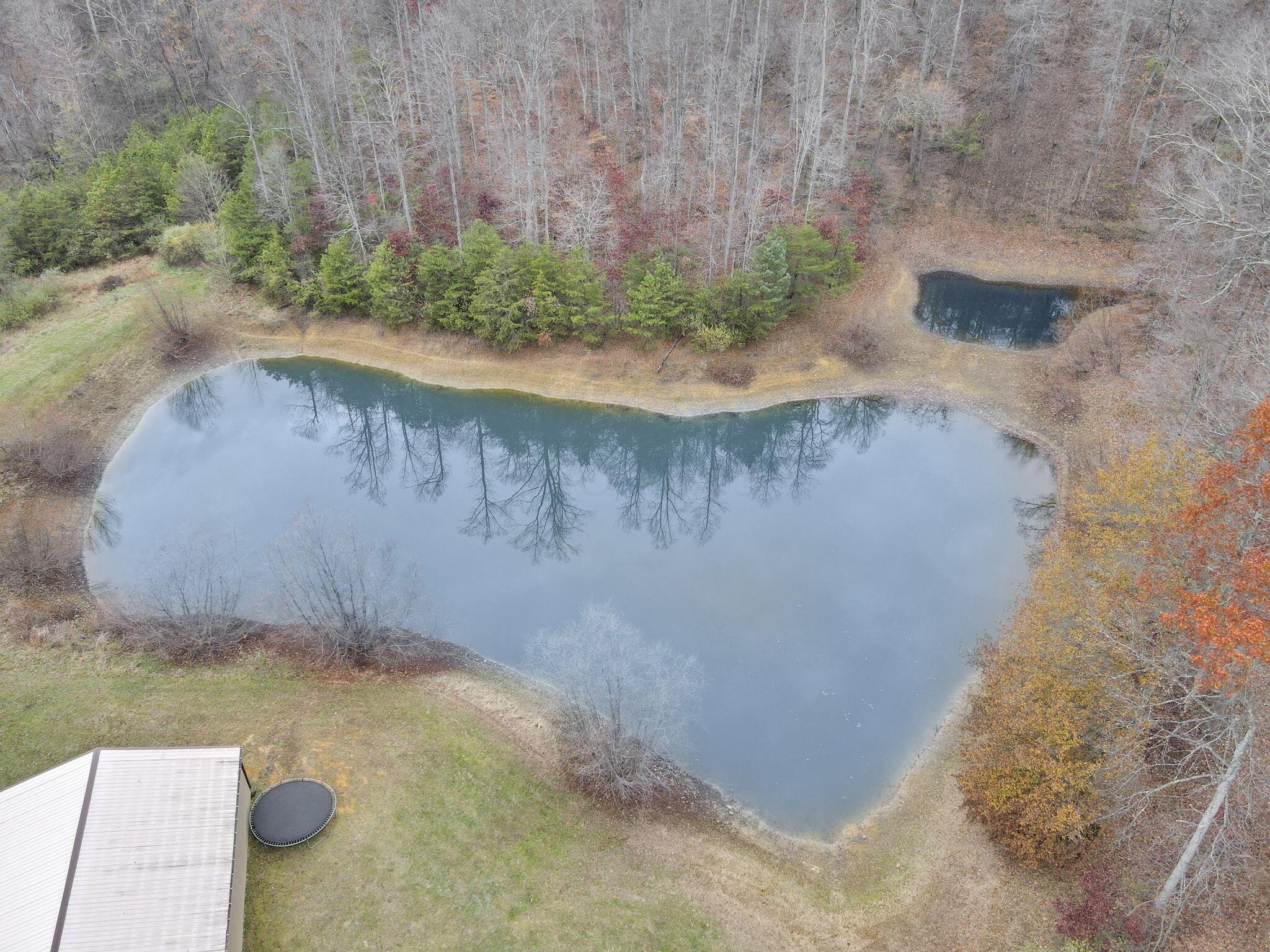 7805 Revenge Road Sw Property Photo 6