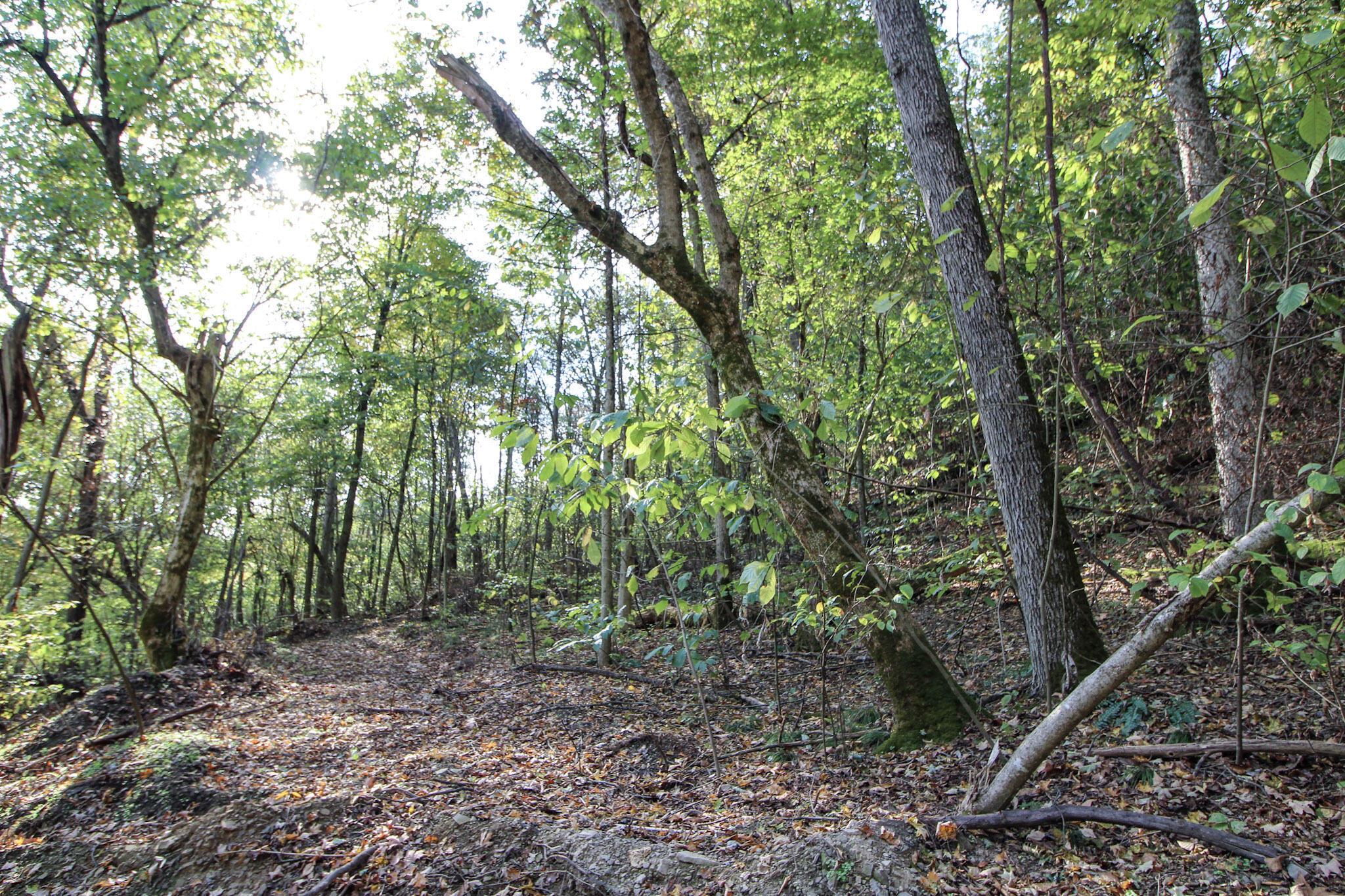 15999 State Route 26 Property Photo 7