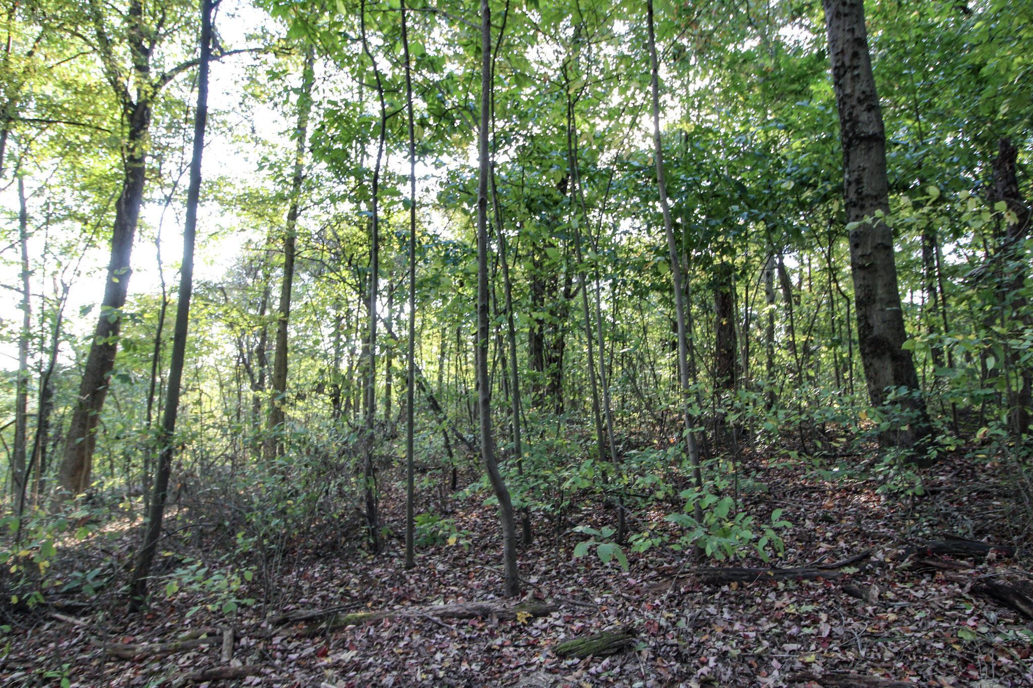 15999 State Route 26 Property Photo 8