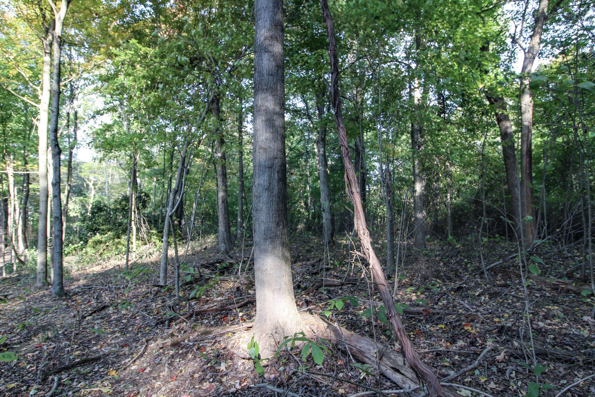 15999 State Route 26 Property Photo 12