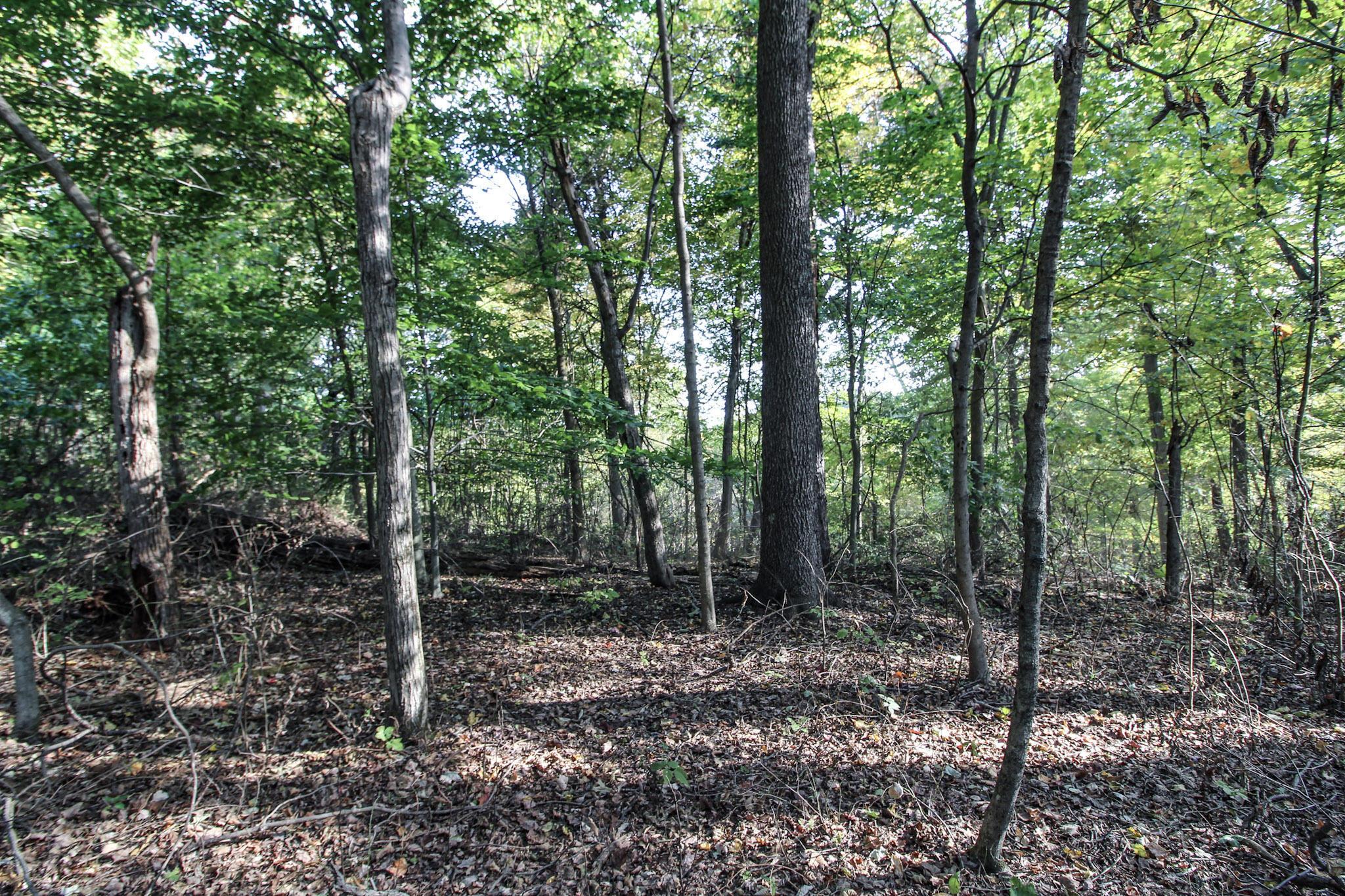 15999 State Route 26 Property Photo 13