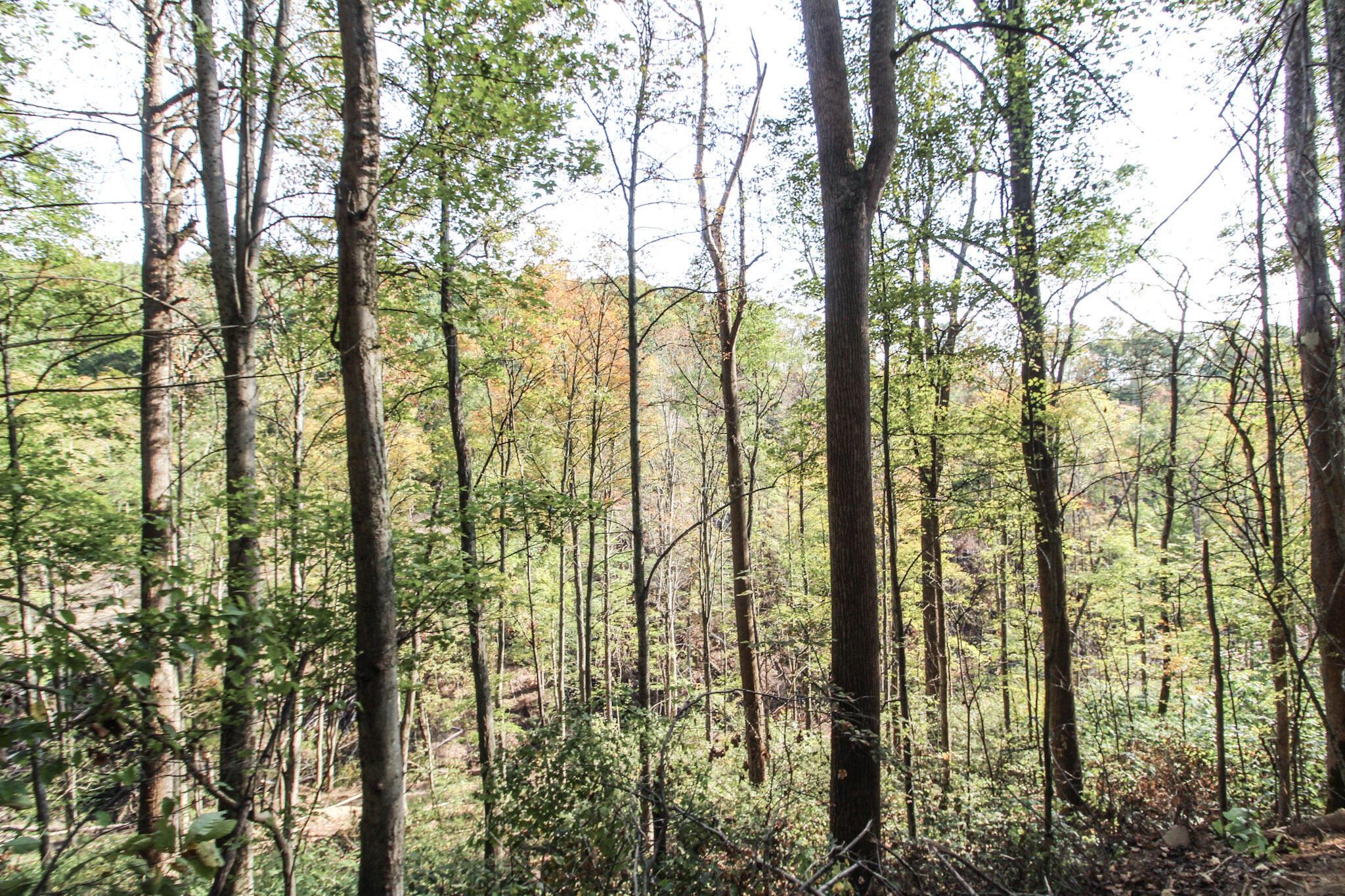 15999 State Route 26 Property Photo 15