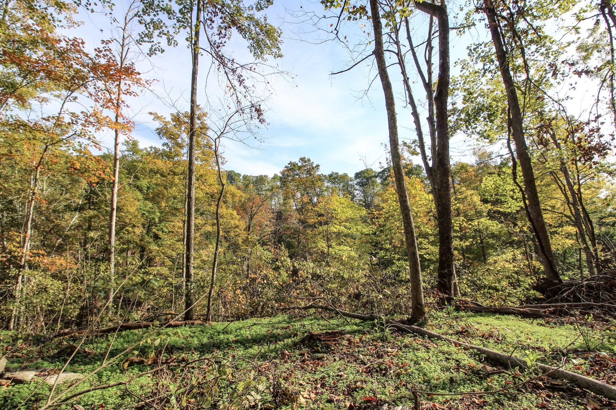15999 State Route 26 Property Photo 16