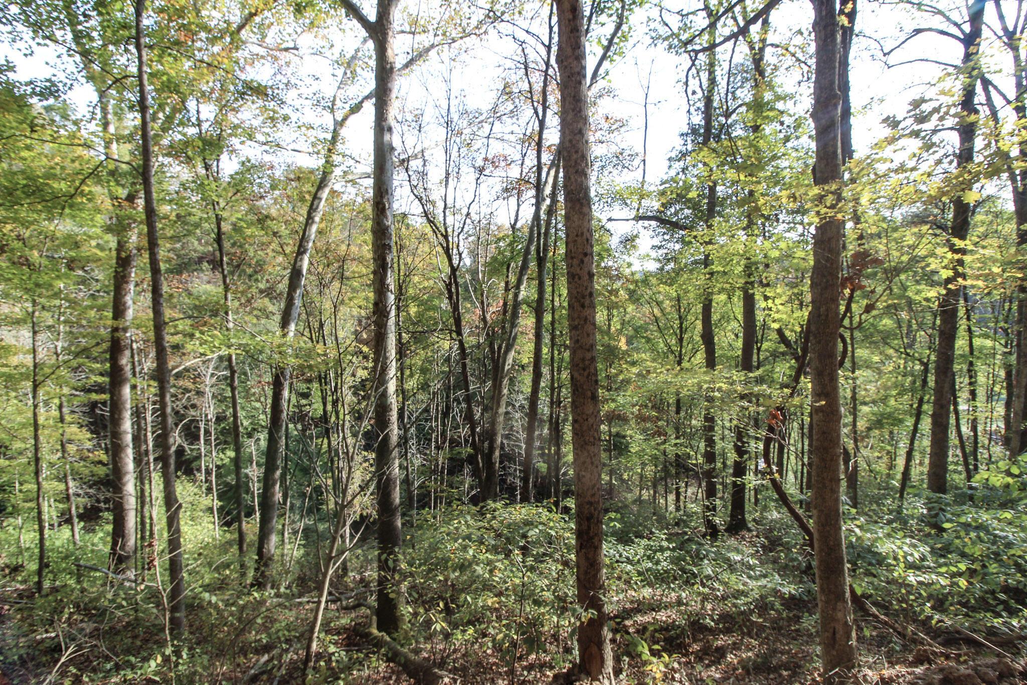 15999 State Route 26 Property Photo 17