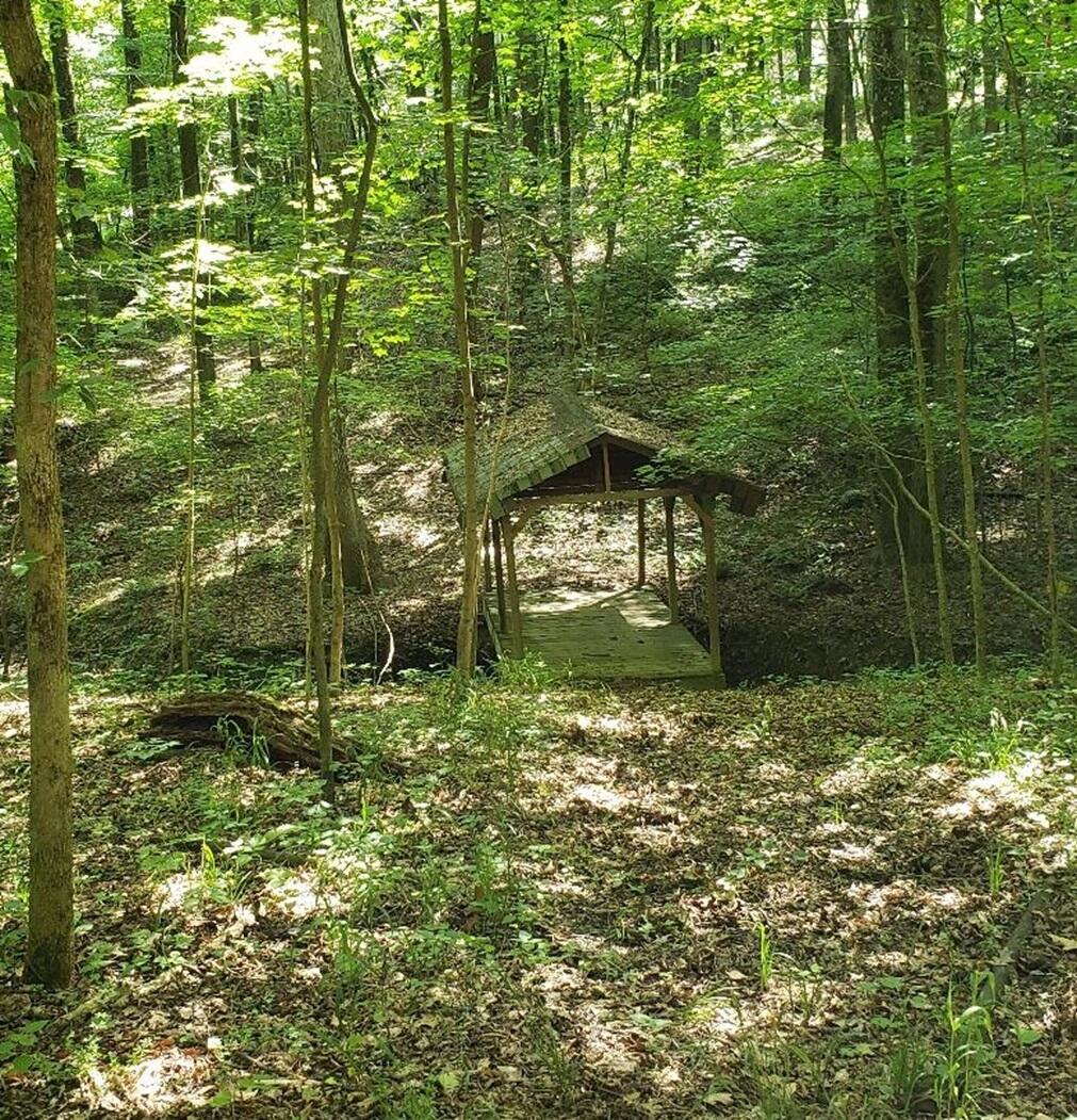 9077 Mulberry Road Property Photo 2