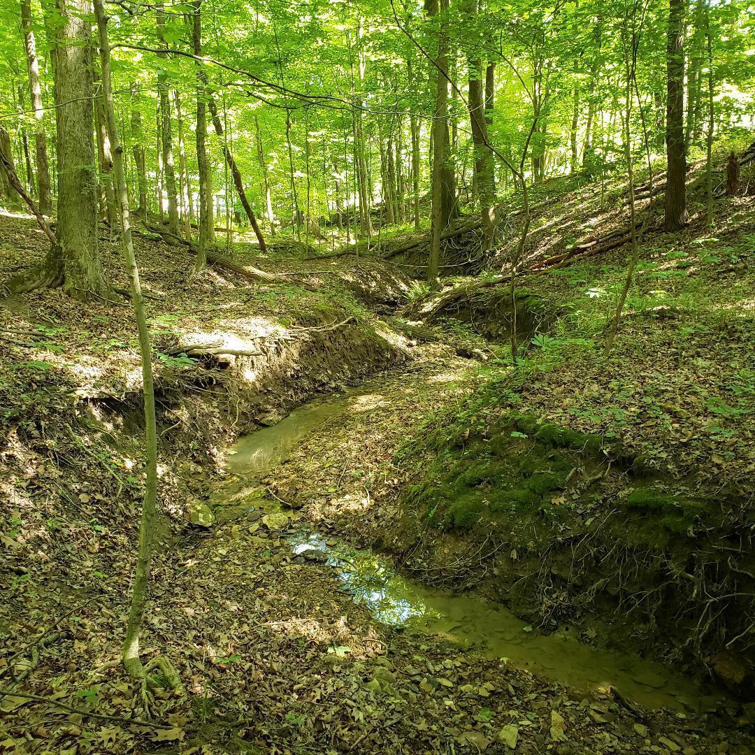 9077 Mulberry Road Property Photo 3