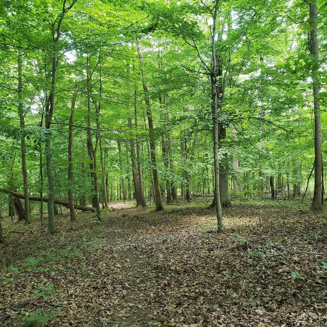 9077 Mulberry Road Property Photo 5