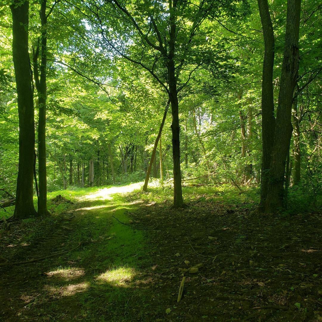 9077 Mulberry Road Property Photo 6