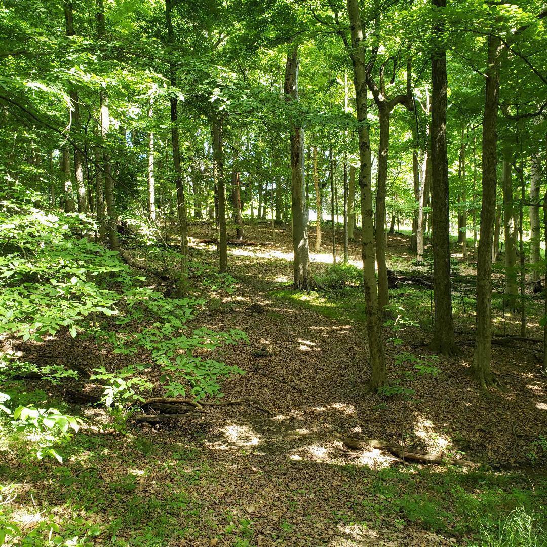 9077 Mulberry Road Property Photo 7