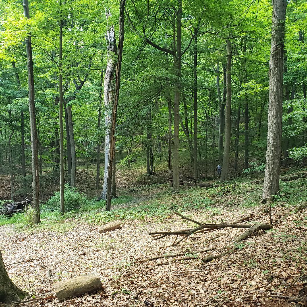 9077 Mulberry Road Property Photo 9