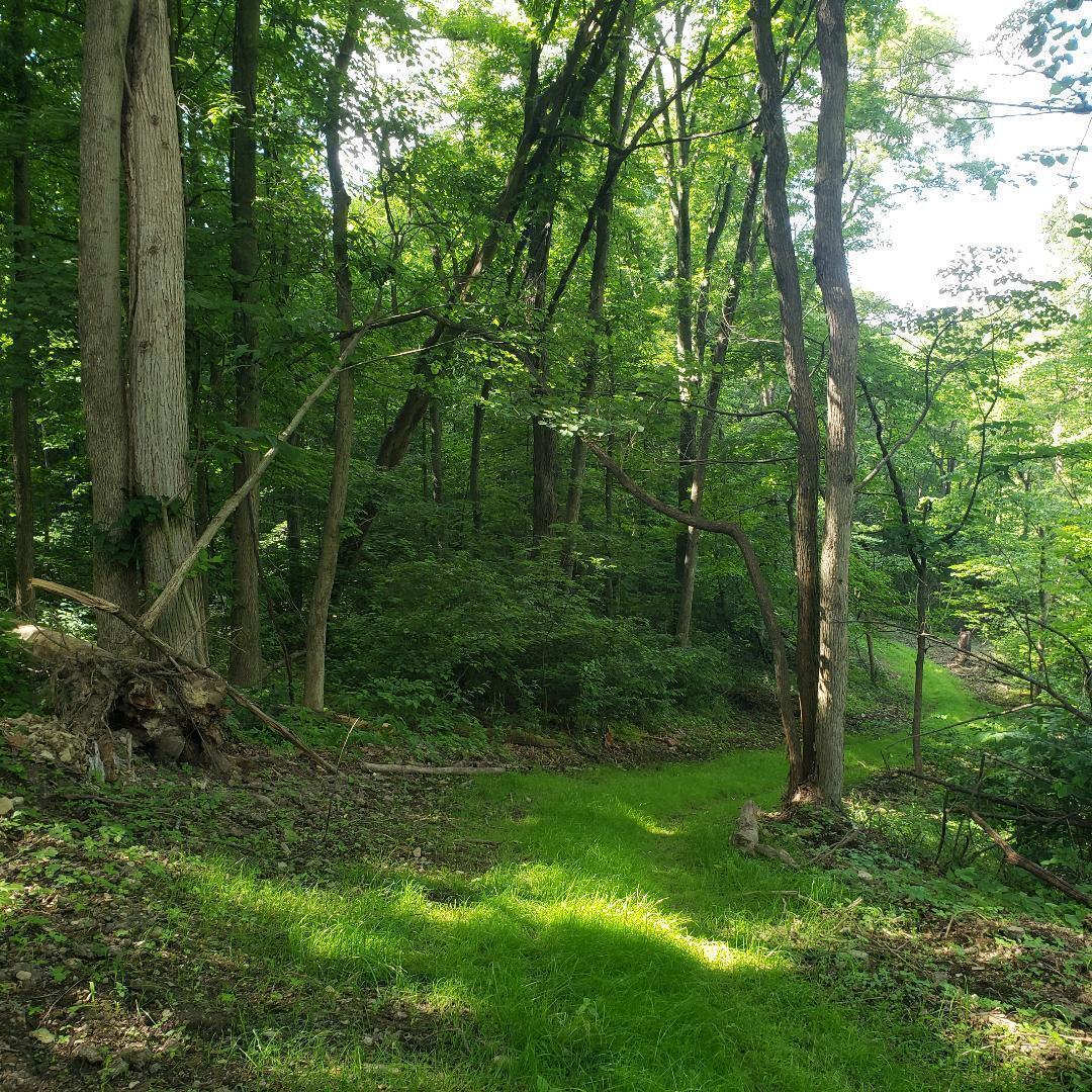 9077 Mulberry Road Property Photo 10