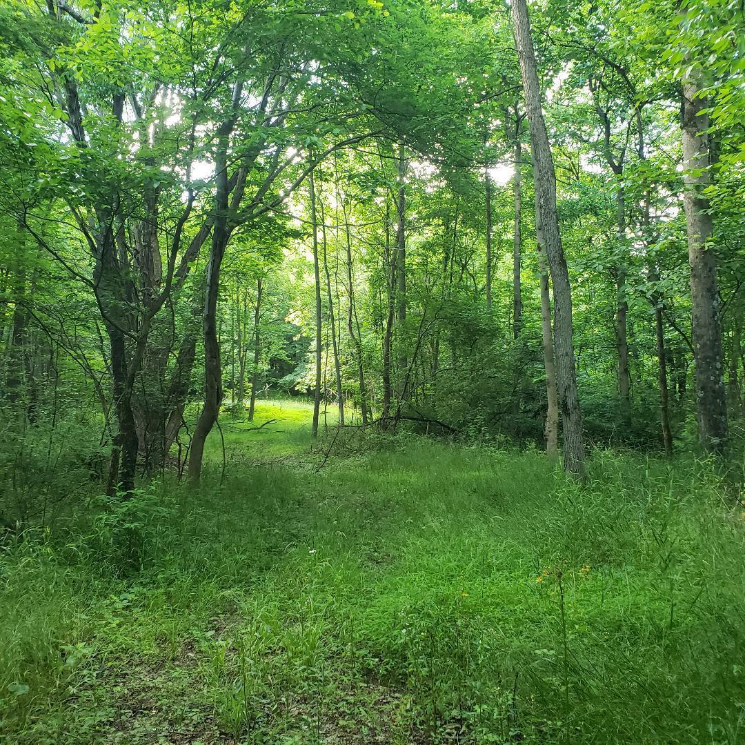 9077 Mulberry Road Property Photo 12