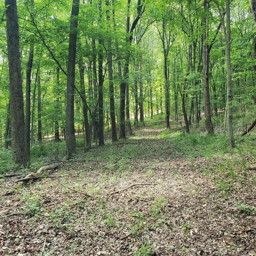 9077 Mulberry Road Property Photo 14