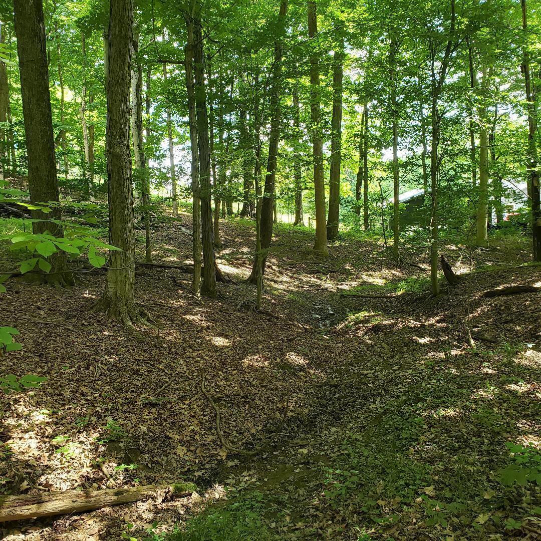 9077 Mulberry Road Property Photo 15
