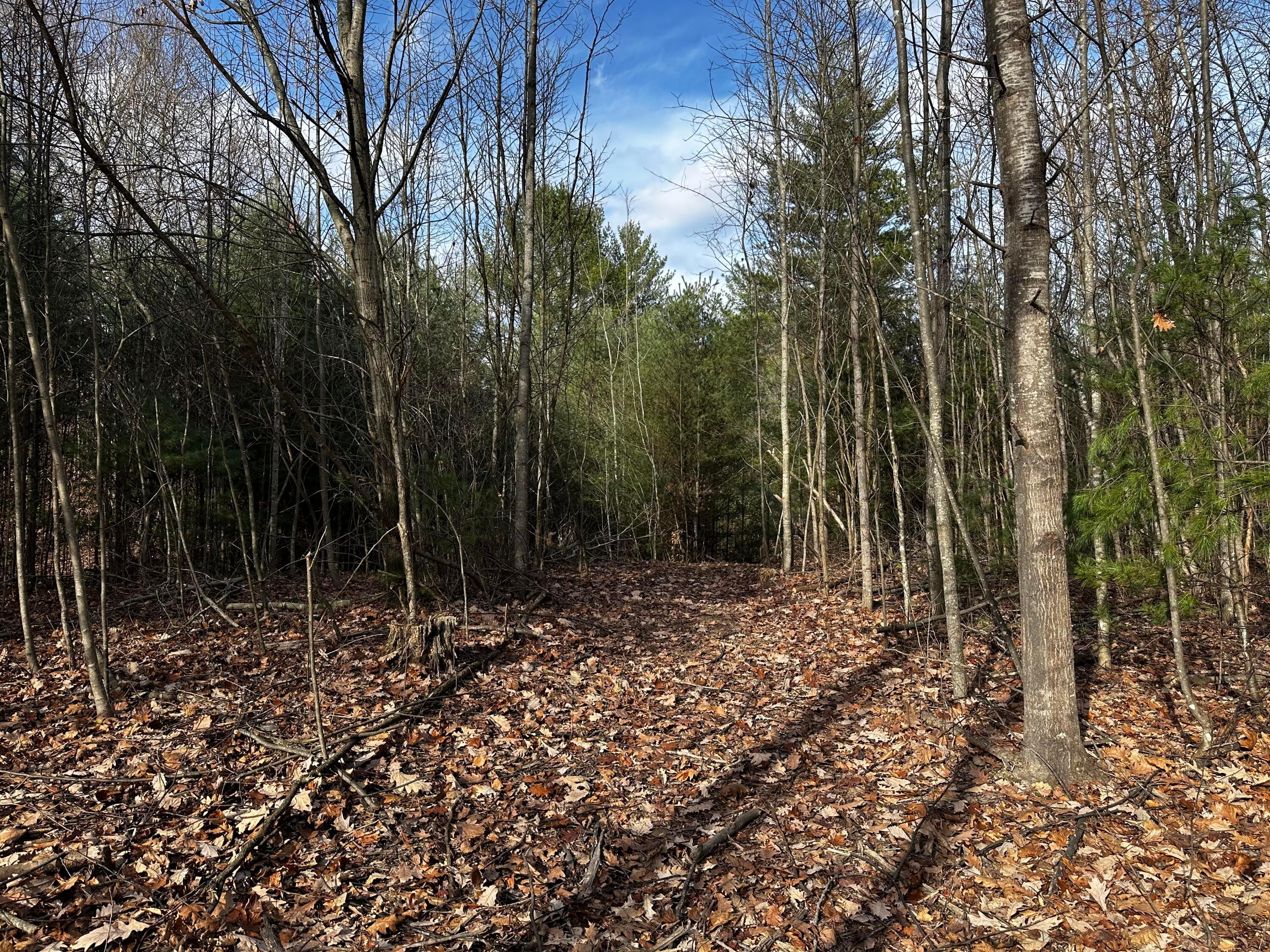 33084 Parkinson Road, (copper Cabin At Titus) Property Photo 17