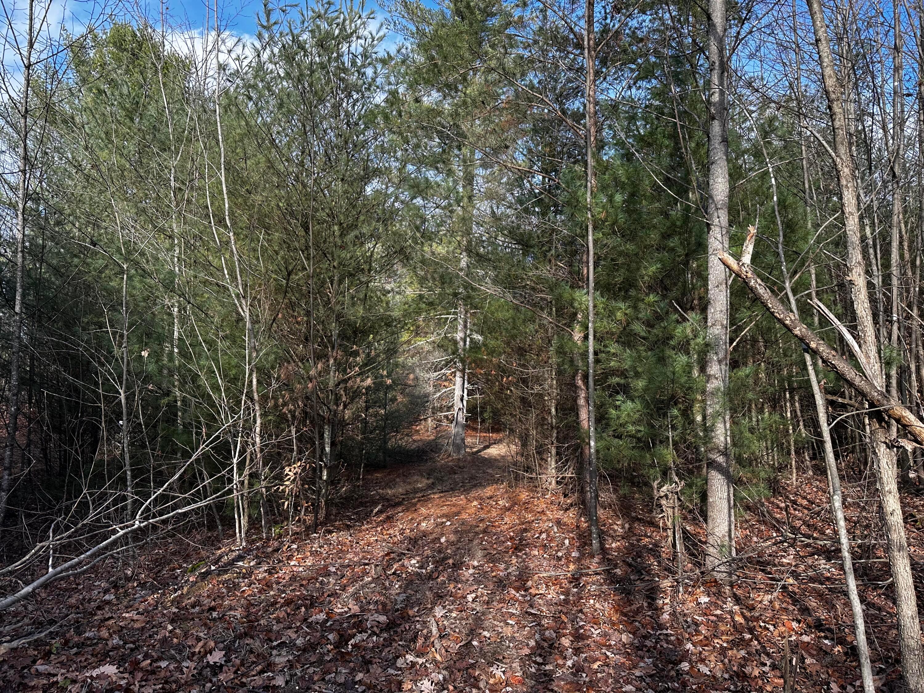 33084 Parkinson Road, (copper Cabin At Titus) Property Photo 20