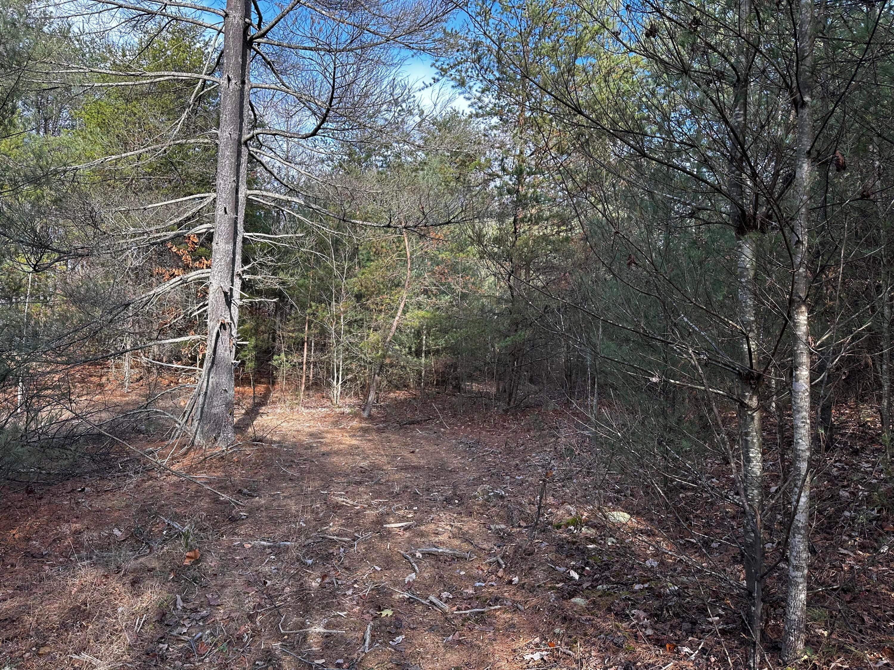 33084 Parkinson Road, (copper Cabin At Titus) Property Photo 21