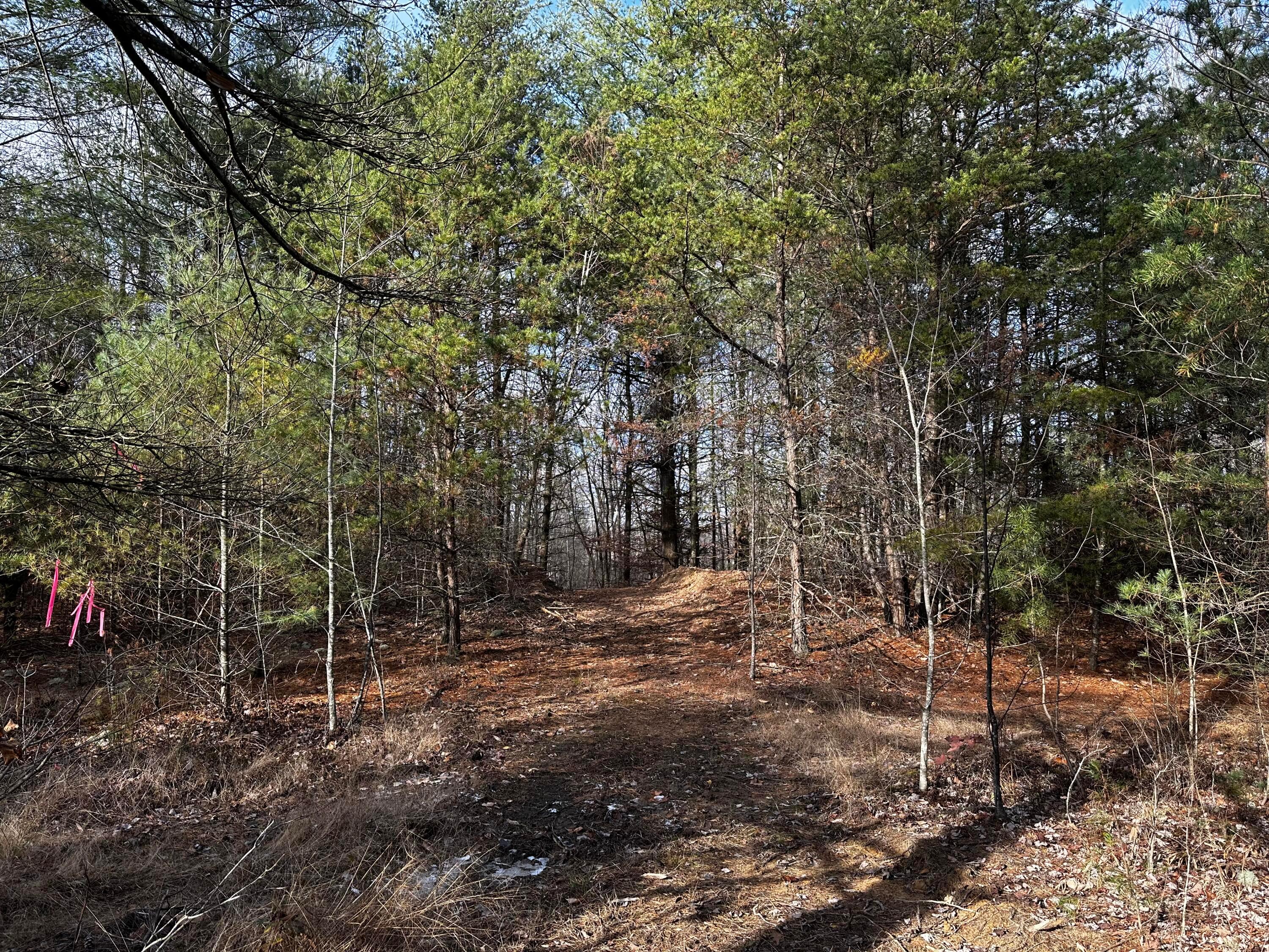 33084 Parkinson Road, (copper Cabin At Titus) Property Photo 22