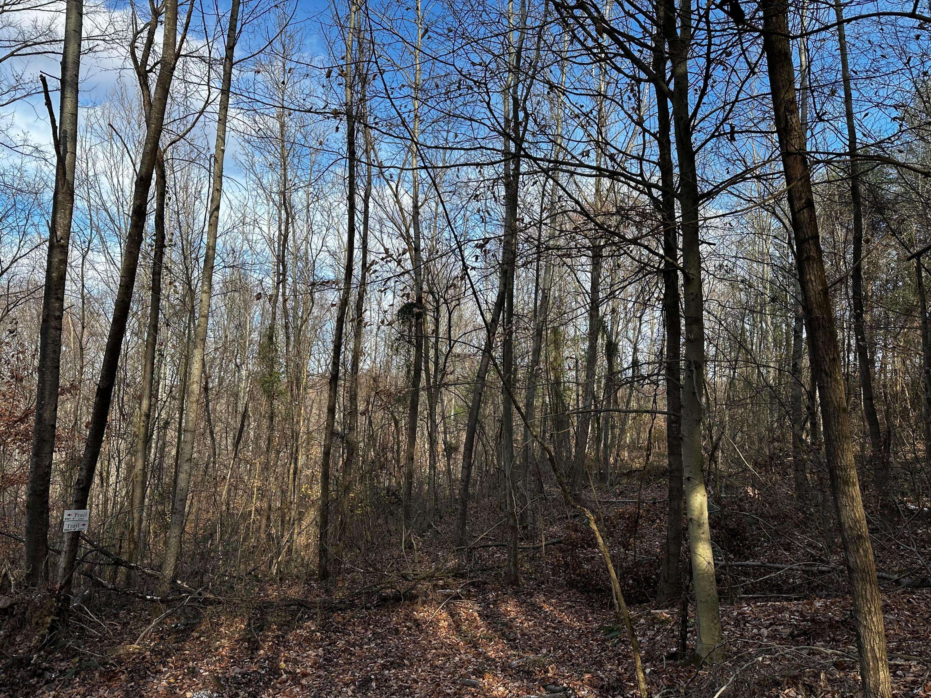 33084 Parkinson Road, (copper Cabin At Titus) Property Photo 24