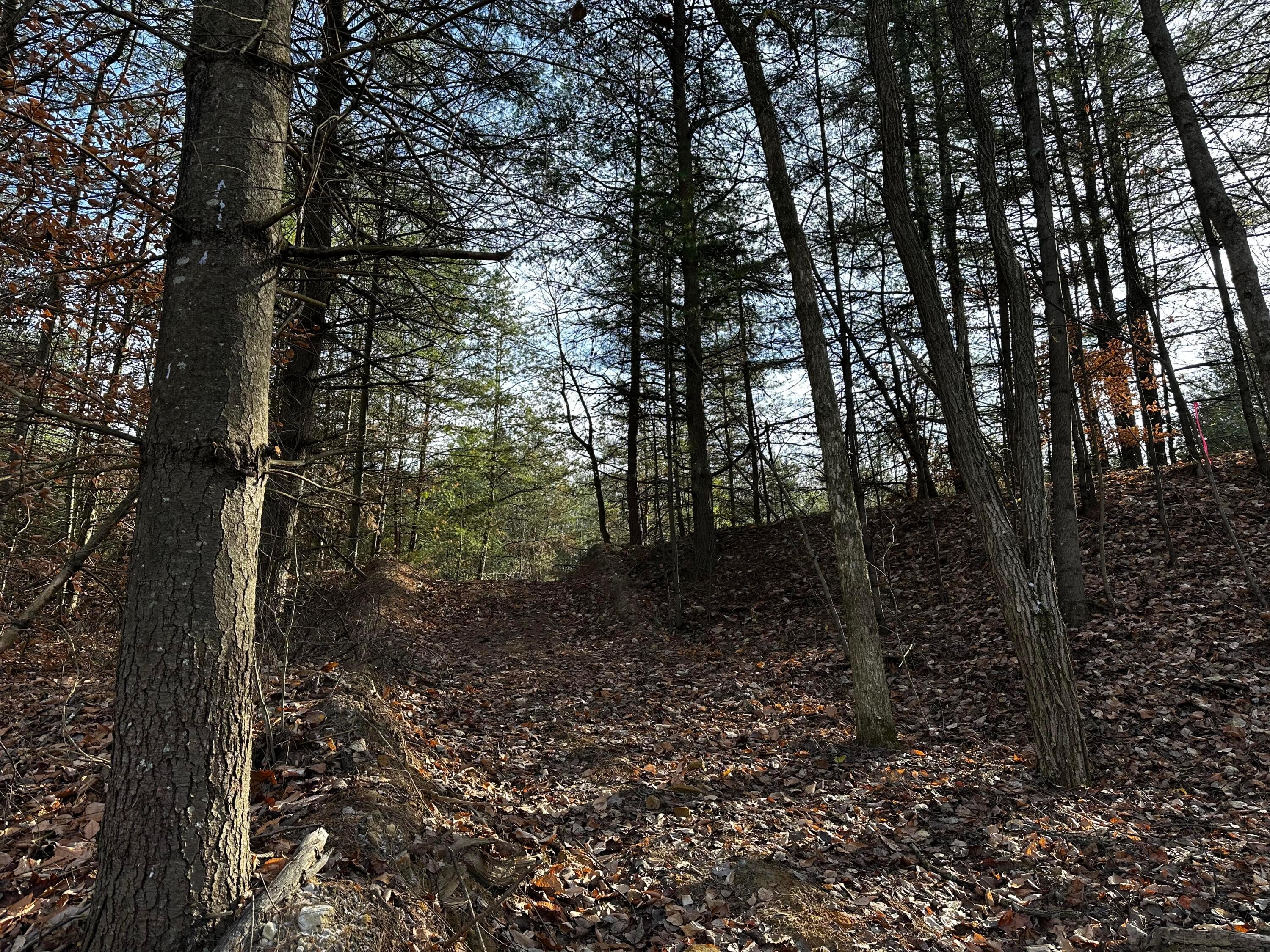 33084 Parkinson Road, (copper Cabin At Titus) Property Photo 25