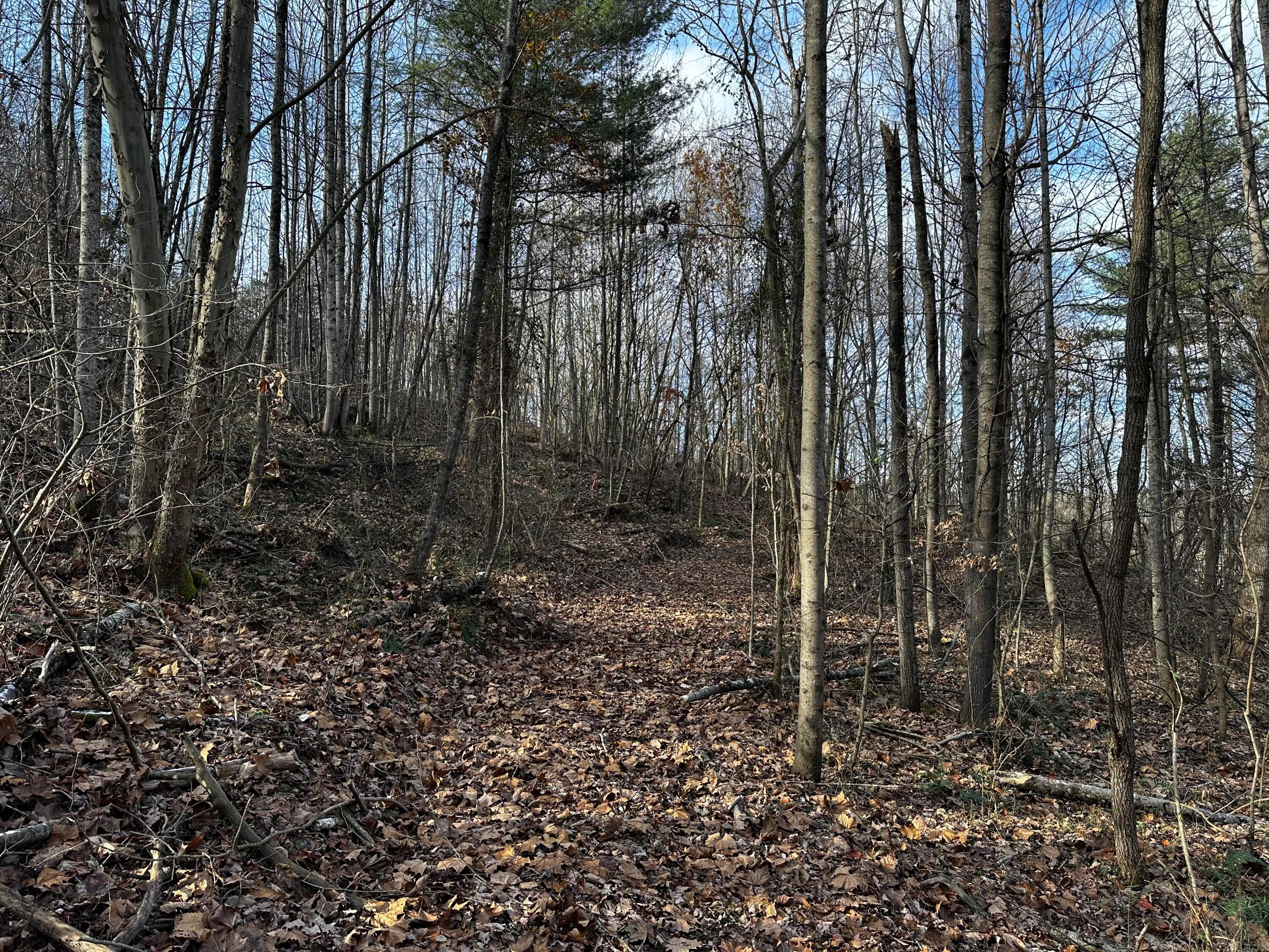33084 Parkinson Road, (copper Cabin At Titus) Property Photo 28