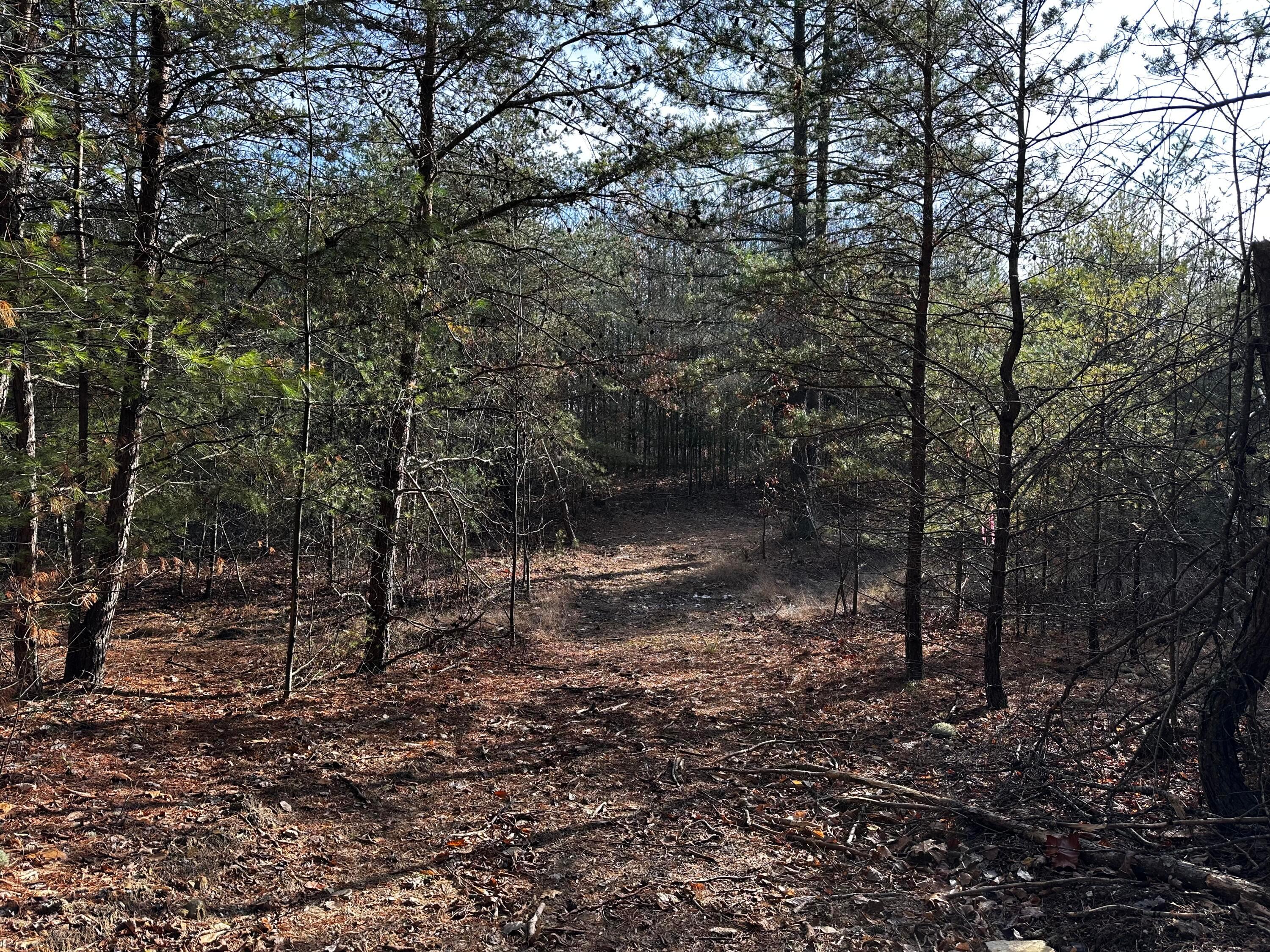 33084 Parkinson Road, (copper Cabin At Titus) Property Photo 32