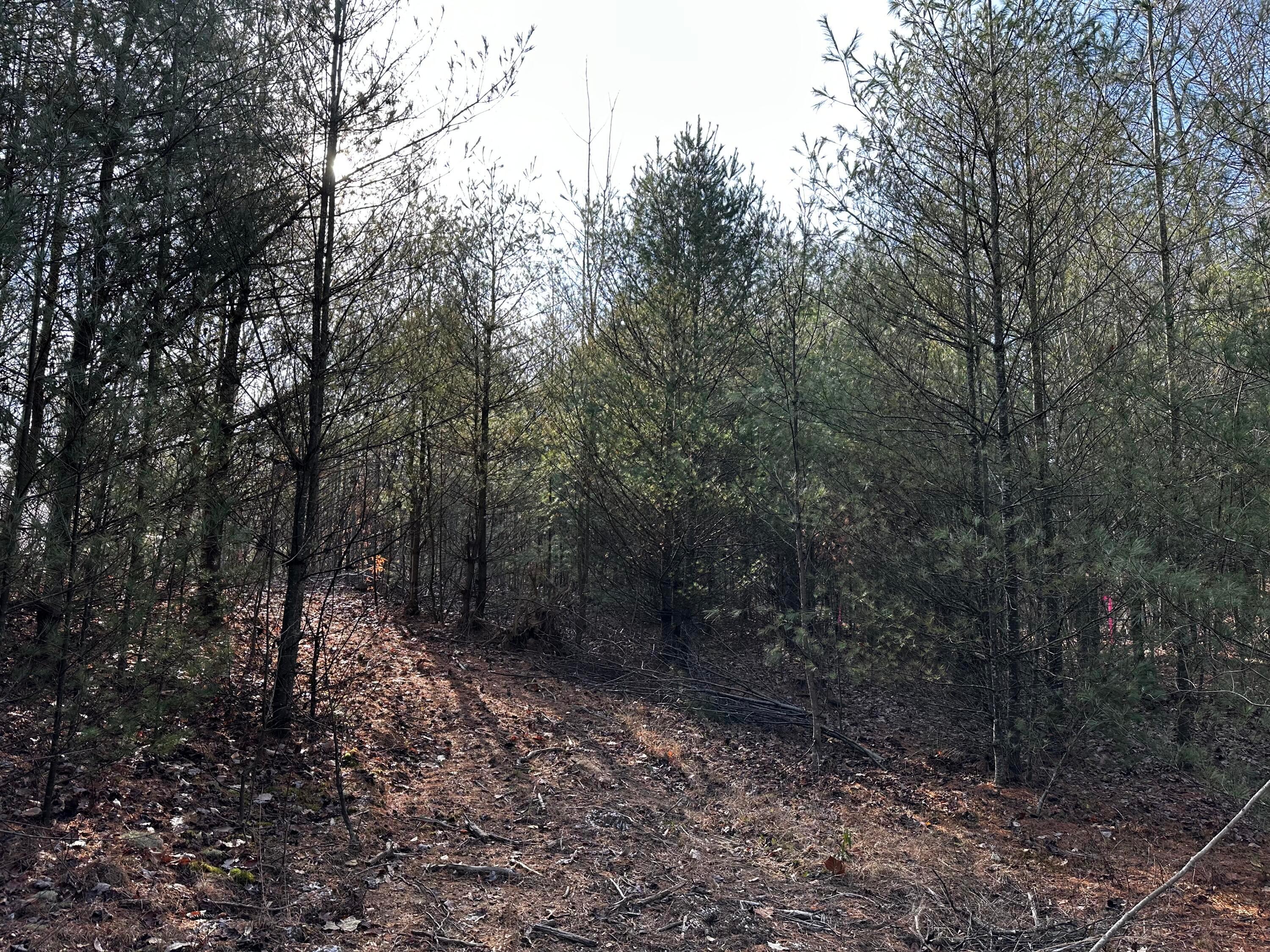 33084 Parkinson Road, (copper Cabin At Titus) Property Photo 33