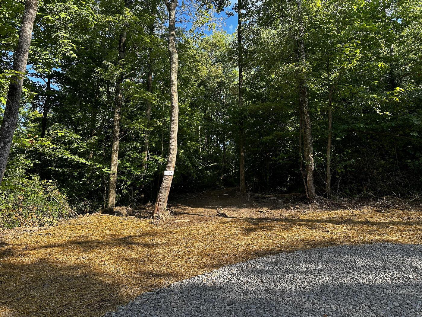 9614 Township Rd 57, (tract 2 At Sheridan Woods) Property Photo 4