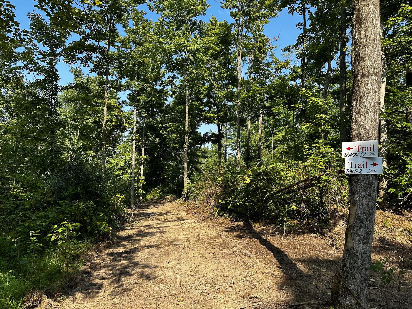 9614 Township Rd 57, (tract 2 At Sheridan Woods) Property Photo 5