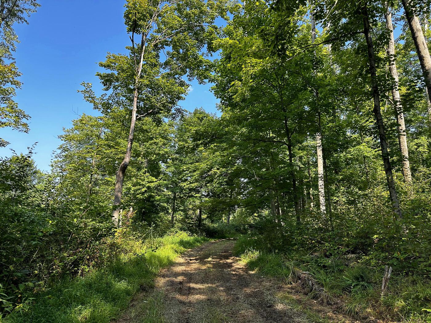 9614 Township Rd 57, (tract 2 At Sheridan Woods) Property Photo 6