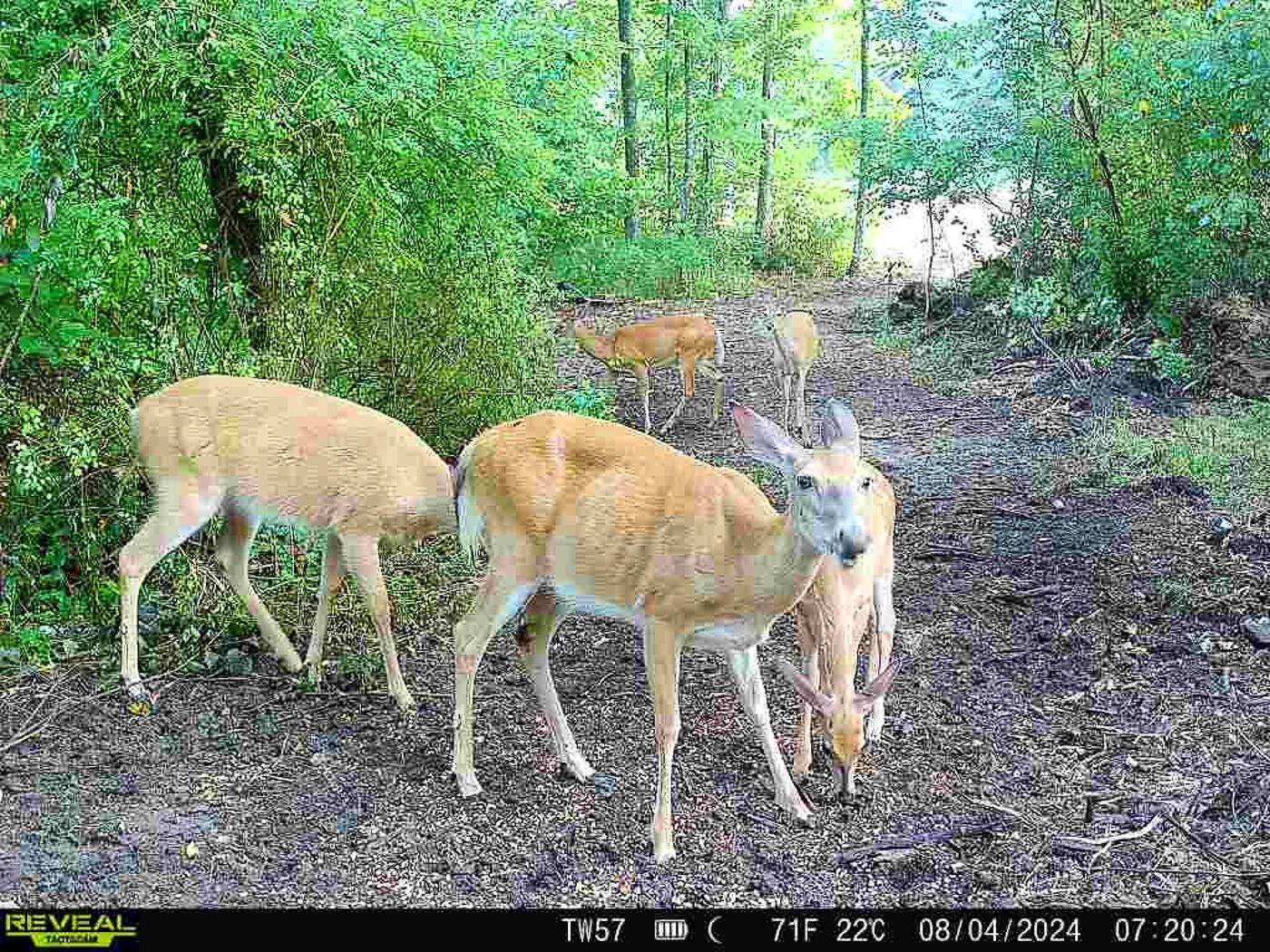 9614 Township Rd 57, (tract 2 At Sheridan Woods) Property Photo 12