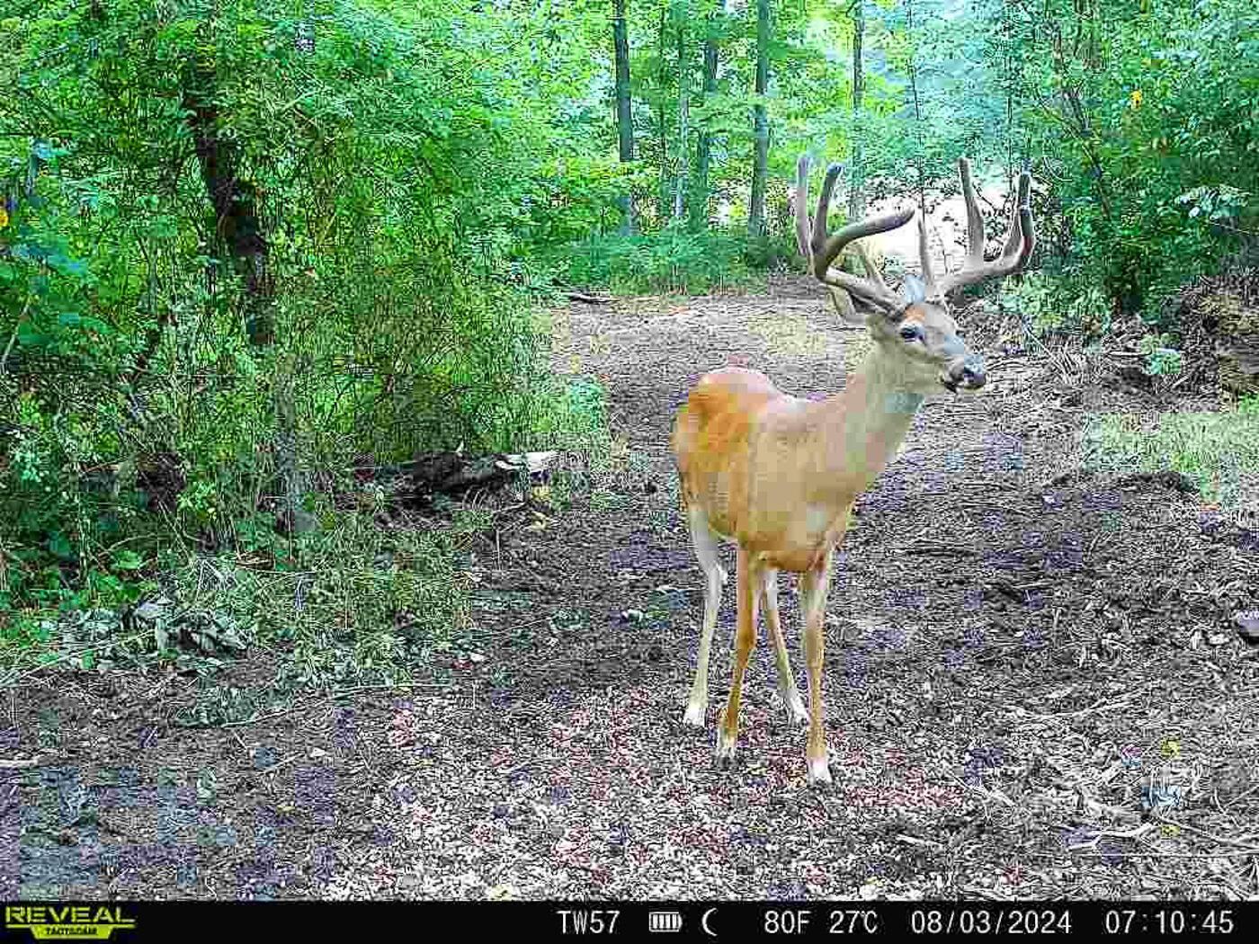 9614 Township Rd 57, (tract 2 At Sheridan Woods) Property Photo 13