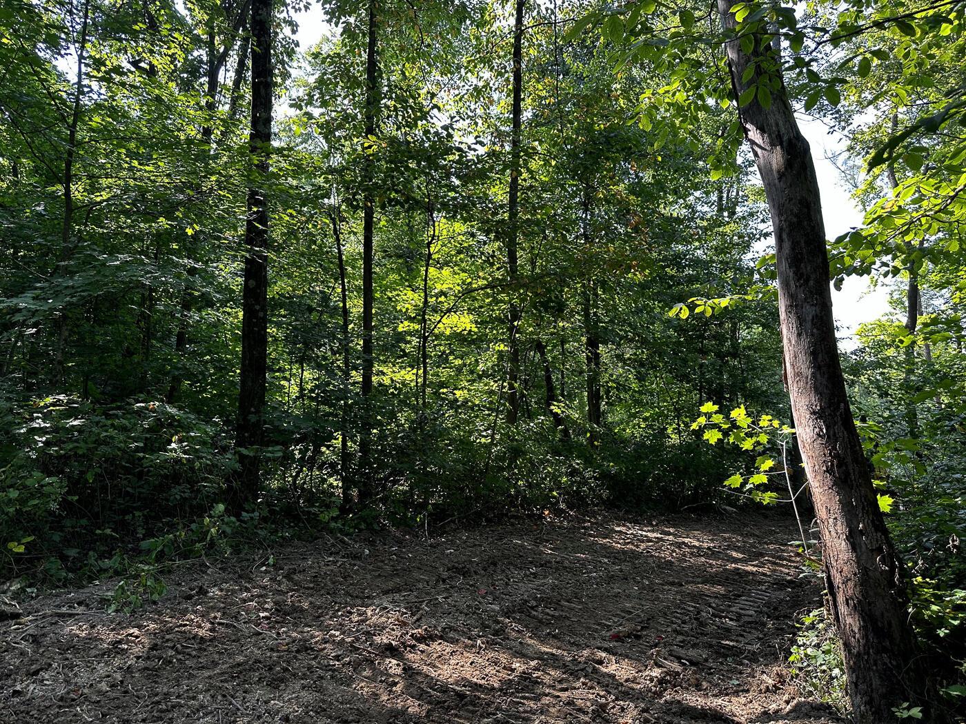 9614 Township Rd 57, (tract 2 At Sheridan Woods) Property Photo 15