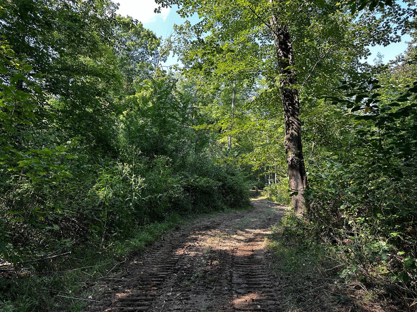 9614 Township Rd 57, (tract 2 At Sheridan Woods) Property Photo 16