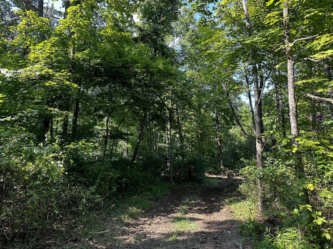 9614 Township Rd 57, (tract 2 At Sheridan Woods) Property Photo 17
