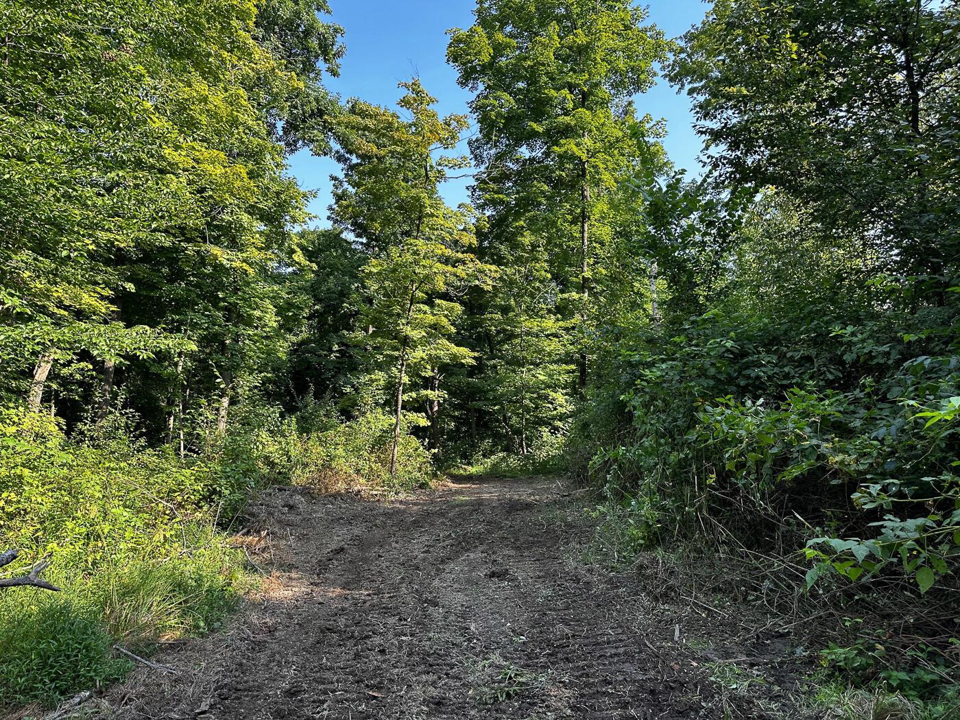 9614 Township Rd 57, (tract 2 At Sheridan Woods) Property Photo 18