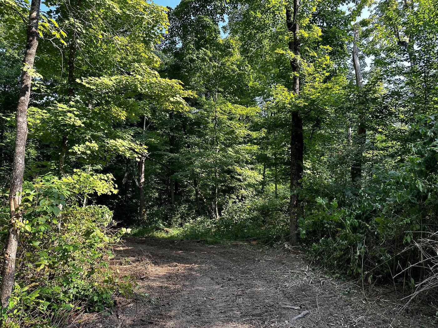 9614 Township Rd 57, (tract 2 At Sheridan Woods) Property Photo 19