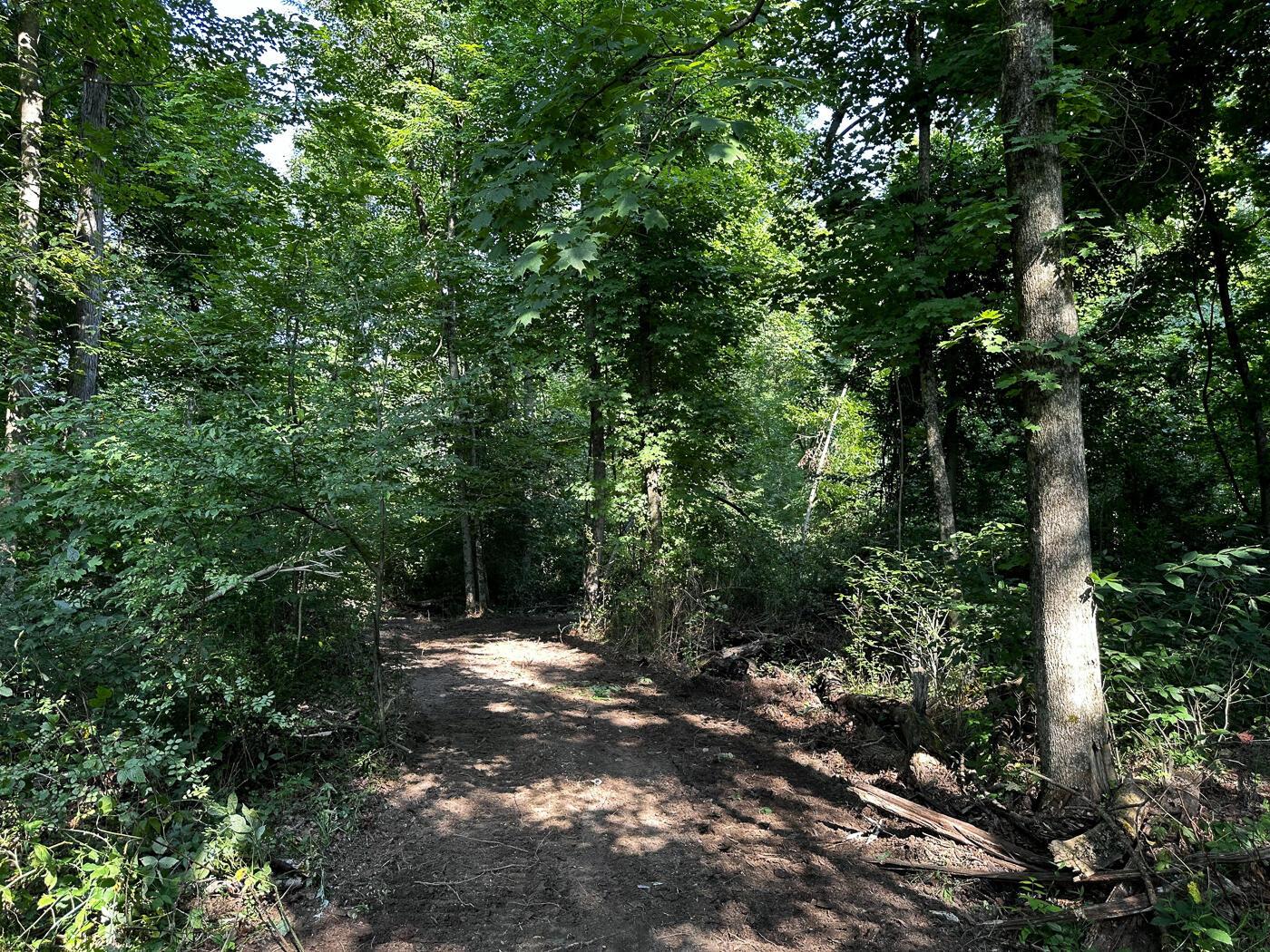 9614 Township Rd 57, (tract 2 At Sheridan Woods) Property Photo 20
