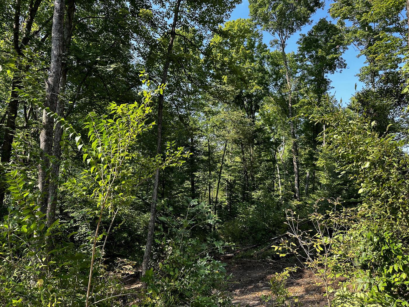 9614 Township Rd 57, (tract 2 At Sheridan Woods) Property Photo 23
