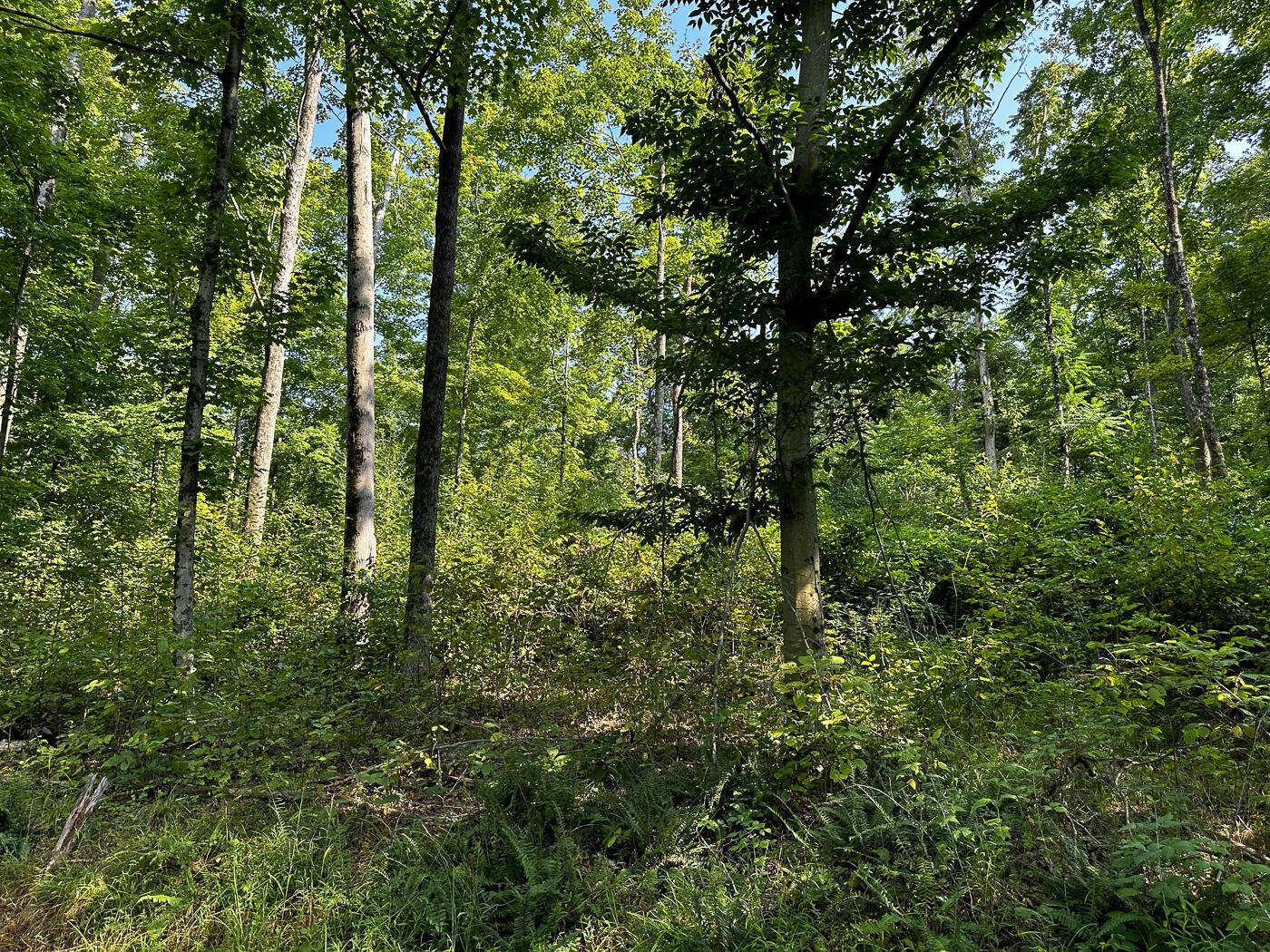 9614 Township Rd 57, (tract 2 At Sheridan Woods) Property Photo 26